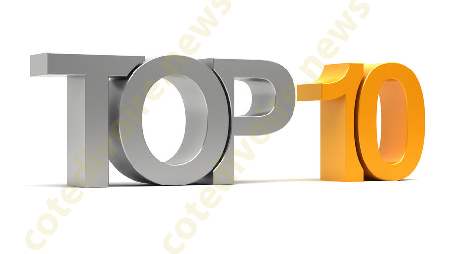 Dix artistes africains les plus riches