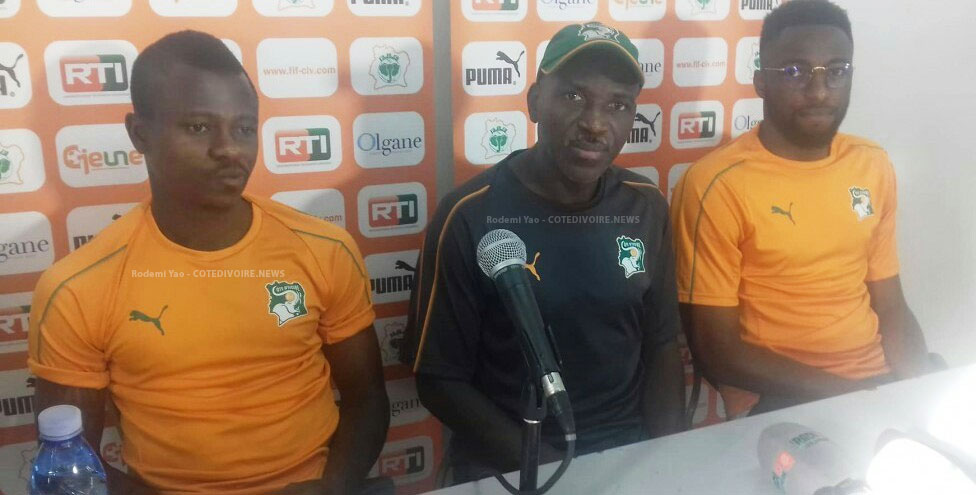 équipe foot éléphant en Côte d'Ivoire